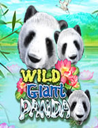 โกลเด้นสล็อต ออนไลน์ บนเว็บ ขุมทรัพย์ที่รอคุณ