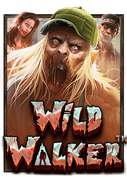 xoslotz ทาง เข้า เล่นสนุกได้ทุกที่ทุกเวลา